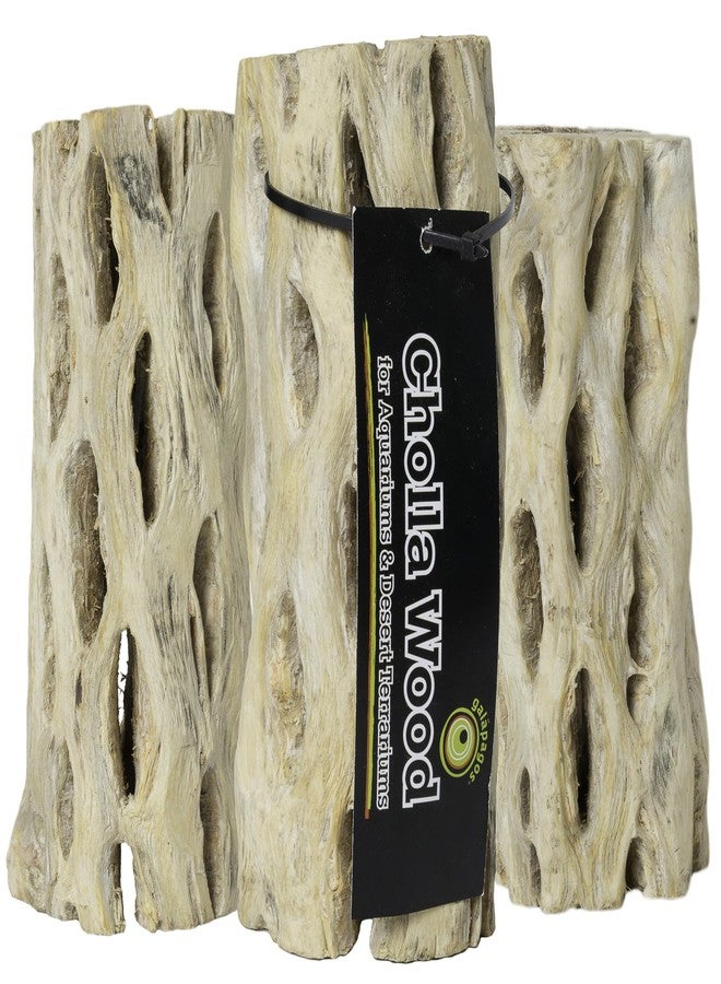 Galapagos 05270 Cholla Wood for Aquarium ,(pack of 3) - Image 1